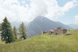 ARCHITETTI ARCO ALPINO