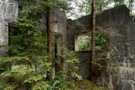 ARCHITETTI ARCO ALPINO