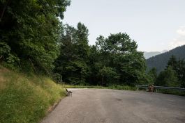 ARCHITETTI ARCO ALPINO