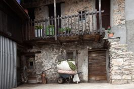 ARCHITETTI ARCO ALPINO