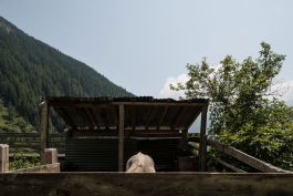 ARCHITETTI ARCO ALPINO