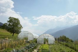 ARCHITETTI ARCO ALPINO