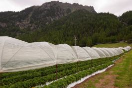 ARCHITETTI ARCO ALPINO