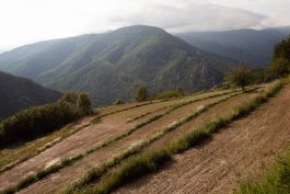 ARCHITETTI ARCO ALPINO