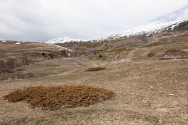 ARCHITETTI ARCO ALPINO