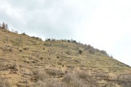 ARCHITETTI ARCO ALPINO