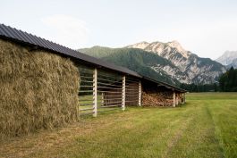 ARCHITETTI ARCO ALPINO