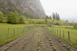 ARCHITETTI ARCO ALPINO