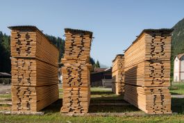 ARCHITETTI ARCO ALPINO