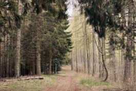 ARCHITETTI ARCO ALPINO