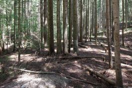 ARCHITETTI ARCO ALPINO