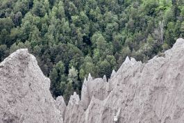 ARCHITETTI ARCO ALPINO