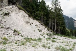 ARCHITETTI ARCO ALPINO