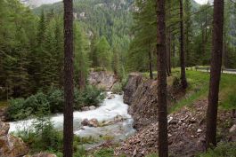 ARCHITETTI ARCO ALPINO