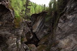 ARCHITETTI ARCO ALPINO