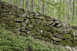 ARCHITETTI ARCO ALPINO