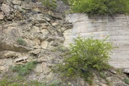 ARCHITETTI ARCO ALPINO