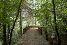 ARCHITETTI ARCO ALPINO